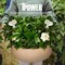 Ipower 10-Pack 25 Gallon Plant Grow Bags, Tan, 10PK GLGROWBAG25X5TANX2 - alternate 3